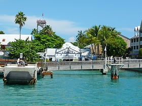 Acuario de Key West