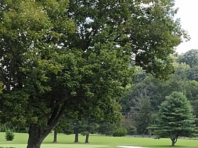municipal golf course asheville