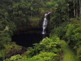 hawaii forest trail kailua kona