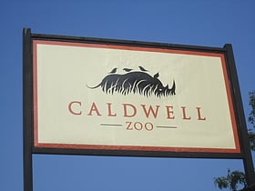caldwell zoo tyler