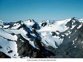 carrie glacier olympic nationalpark