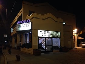 Apollo Theater Chicago