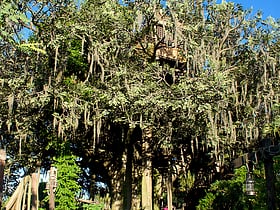 Swiss Family Treehouse