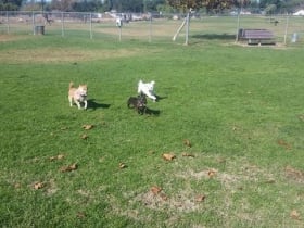 Thousand Oaks Dog Park