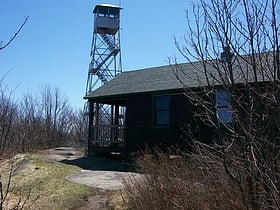 Arab Mountain Fire Observation Station