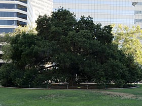 Frank H. Ogawa Plaza