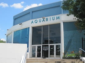 aquarium of niagara niagara falls