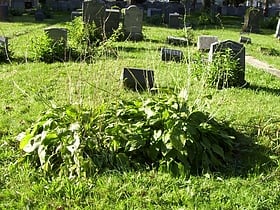 Bayview – New York Bay Cemetery