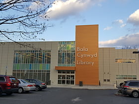 Lower Merion Library System