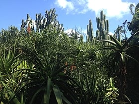 moir gardens kauai