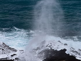 Hālona Blowhole