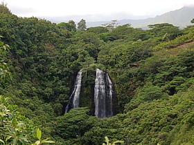 cascadas de opaekaa kauai