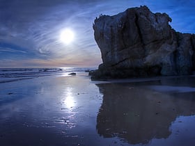 Robert H. Meyer Memorial State Beach