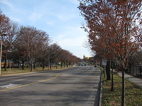 Melnea Cass Boulevard