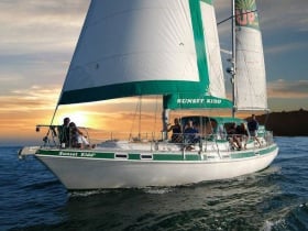 sunset kidd sailing cruises and whale watching santa barbara