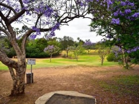 Morley Field Disc Golf Course