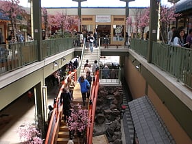 Japan Center