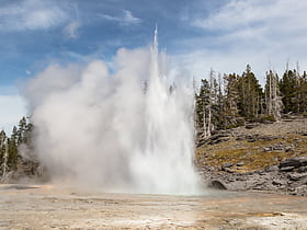 grand geyser park narodowy yellowstone