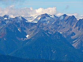 fairchild glacier park narodowy olympic