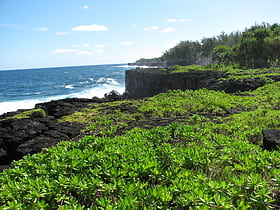national tropical botanical garden kauai