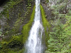marymere falls olympic national park
