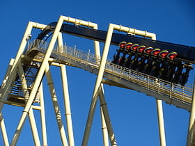 Montu Roller Coaster