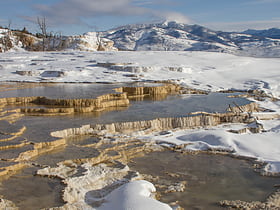 mammoth hot springs parc national de yellowstone