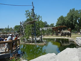 Zoo de Denver