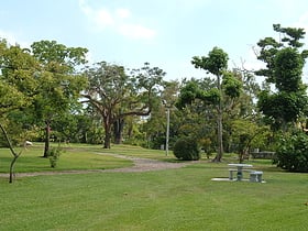 Gifford Arboretum