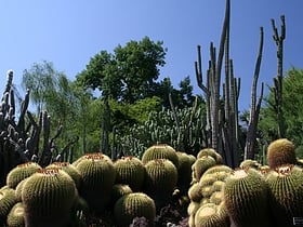 Huntington Desert Garden
