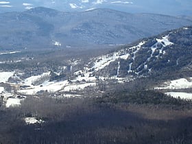 black mountain ski area foret nationale de white mountain