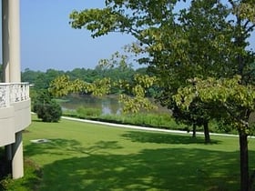 Langan Park