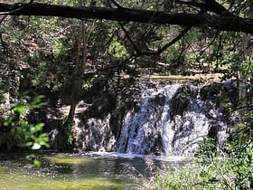 Wild Basin Wilderness Preserve