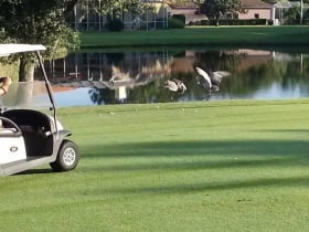 river club golf course bradenton