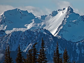 Mount Appleton