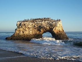 natural bridges state beach santa cruz