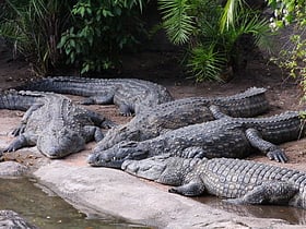 Kilimanjaro Safaris