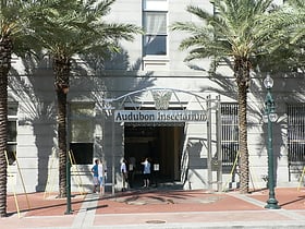 audubon butterfly garden and insectarium new orleans