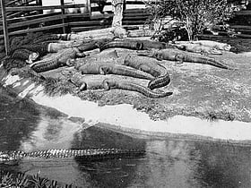 arkansas alligator farm and petting zoo hot springs