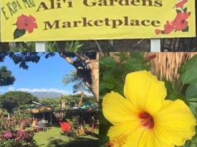 alii gardens marketplace kailua