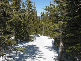 flattop mountain trail parque nacional de las montanas rocosas