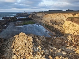 California Coastal National Monument
