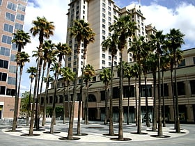 Circle of Palms Plaza