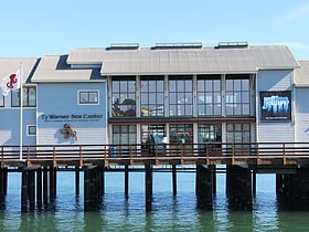 santa barbara museum of natural history sea center