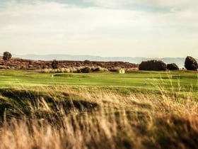 Metropolitan Golf Links