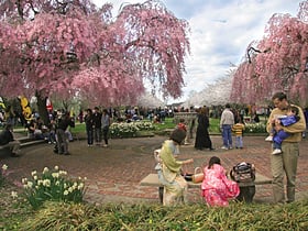 Centennial Arboretum