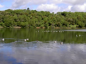 lake ralphine santa rosa