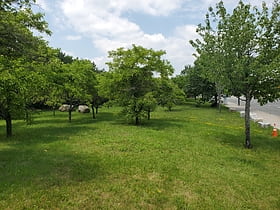 Galvin Memorial Park