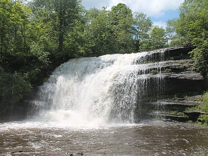 Pixley Falls