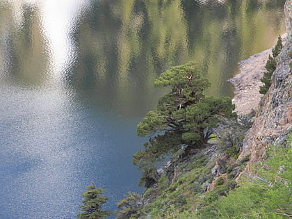 agnew lake bosque nacional de inyo